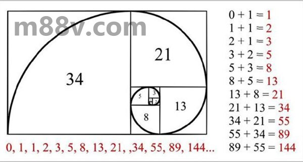 Fibonacci là gì